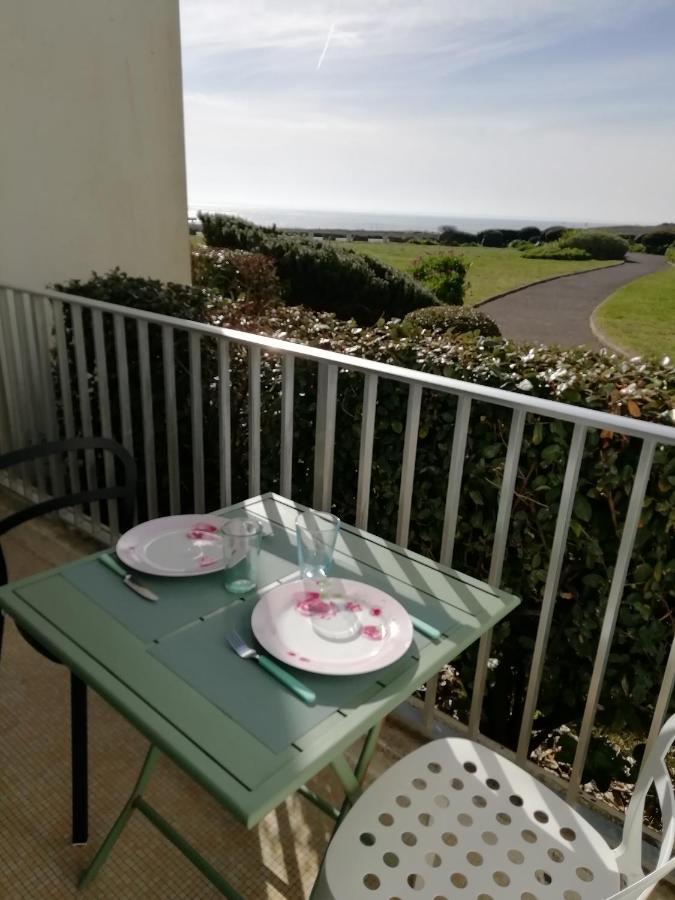 Vue Belle Ile Daire Quiberon Dış mekan fotoğraf